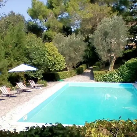 Dall Acqua *